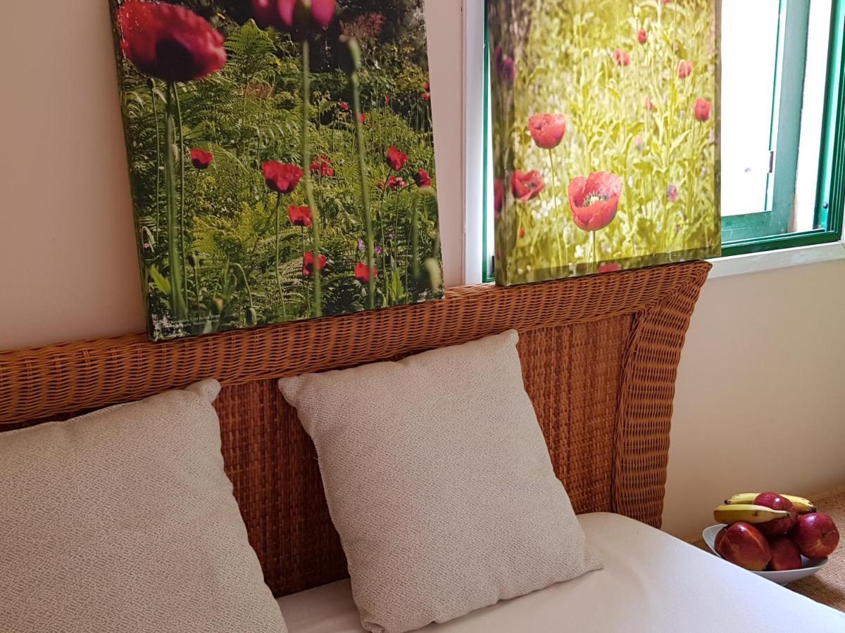 The Poppies Guest House - 100M Ocean - Private Spaces Candelaria Eksteriør bilde