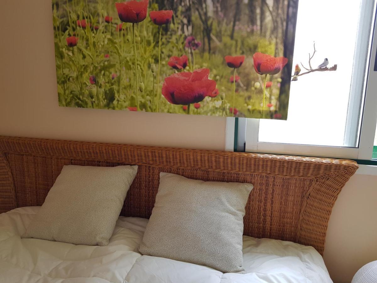 The Poppies Guest House - 100M Ocean - Private Spaces Candelaria Eksteriør bilde