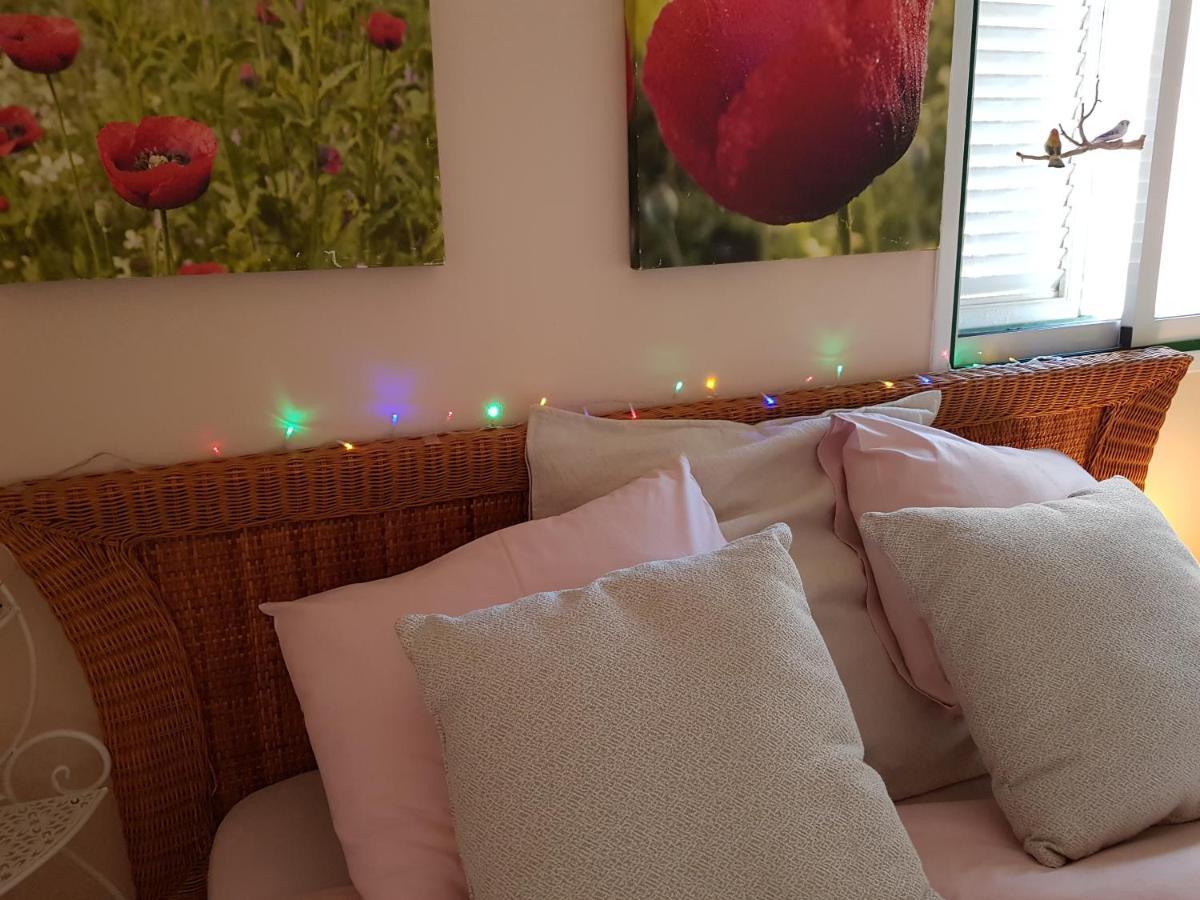 The Poppies Guest House - 100M Ocean - Private Spaces Candelaria Eksteriør bilde