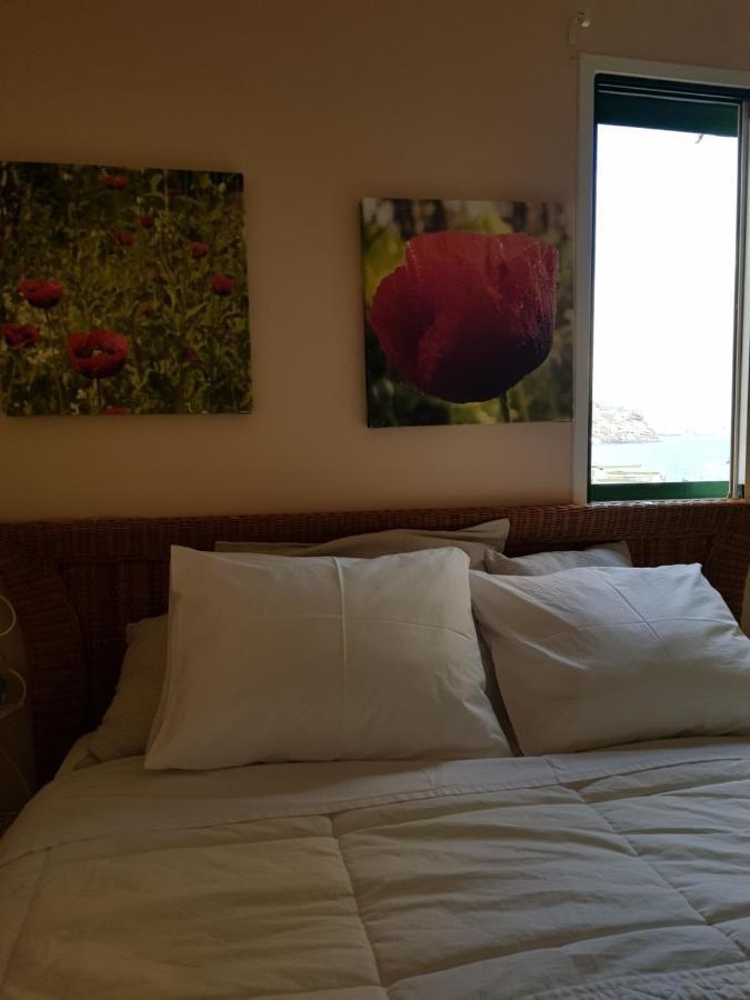 The Poppies Guest House - 100M Ocean - Private Spaces Candelaria Eksteriør bilde
