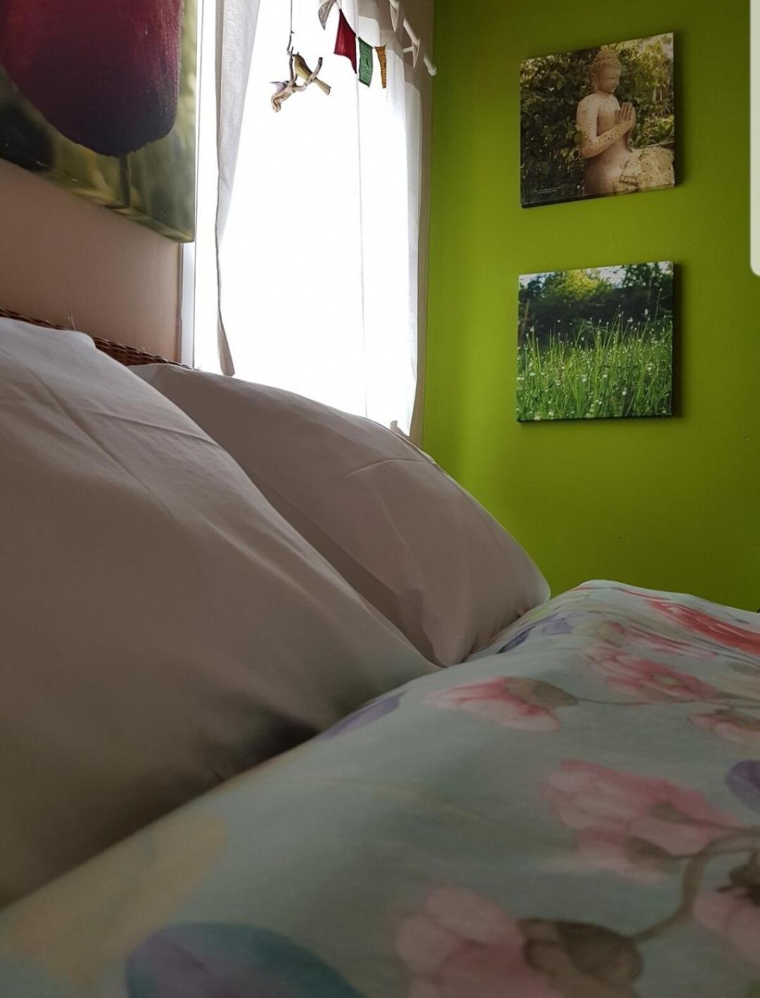 The Poppies Guest House - 100M Ocean - Private Spaces Candelaria Eksteriør bilde