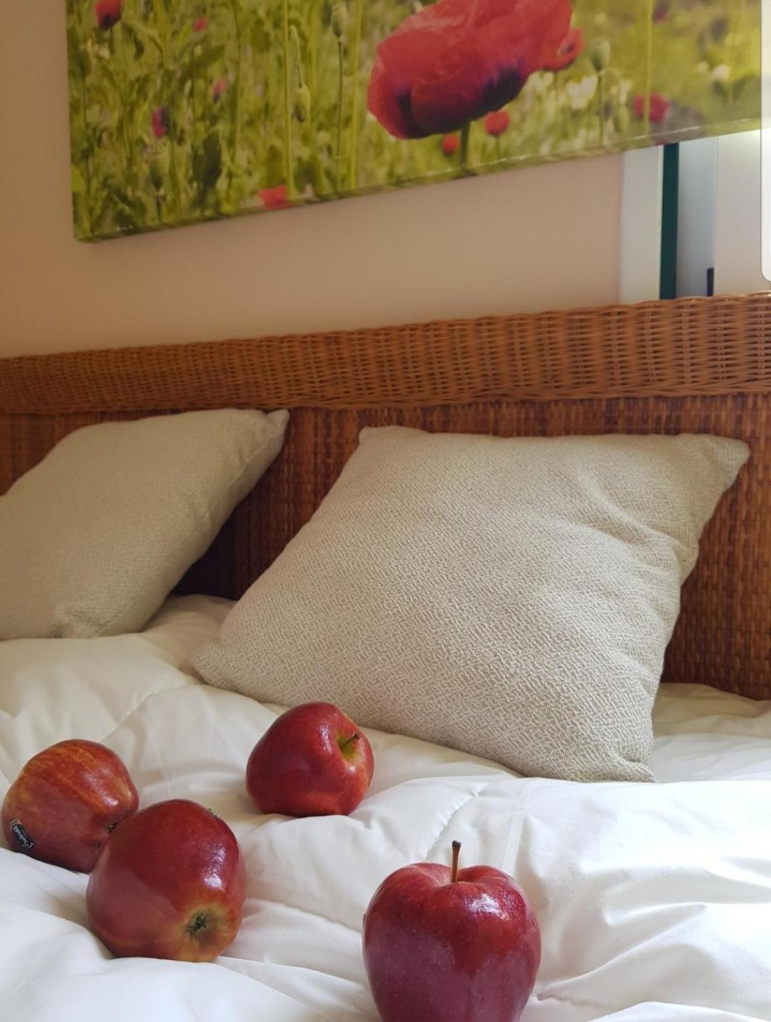 The Poppies Guest House - 100M Ocean - Private Spaces Candelaria Eksteriør bilde
